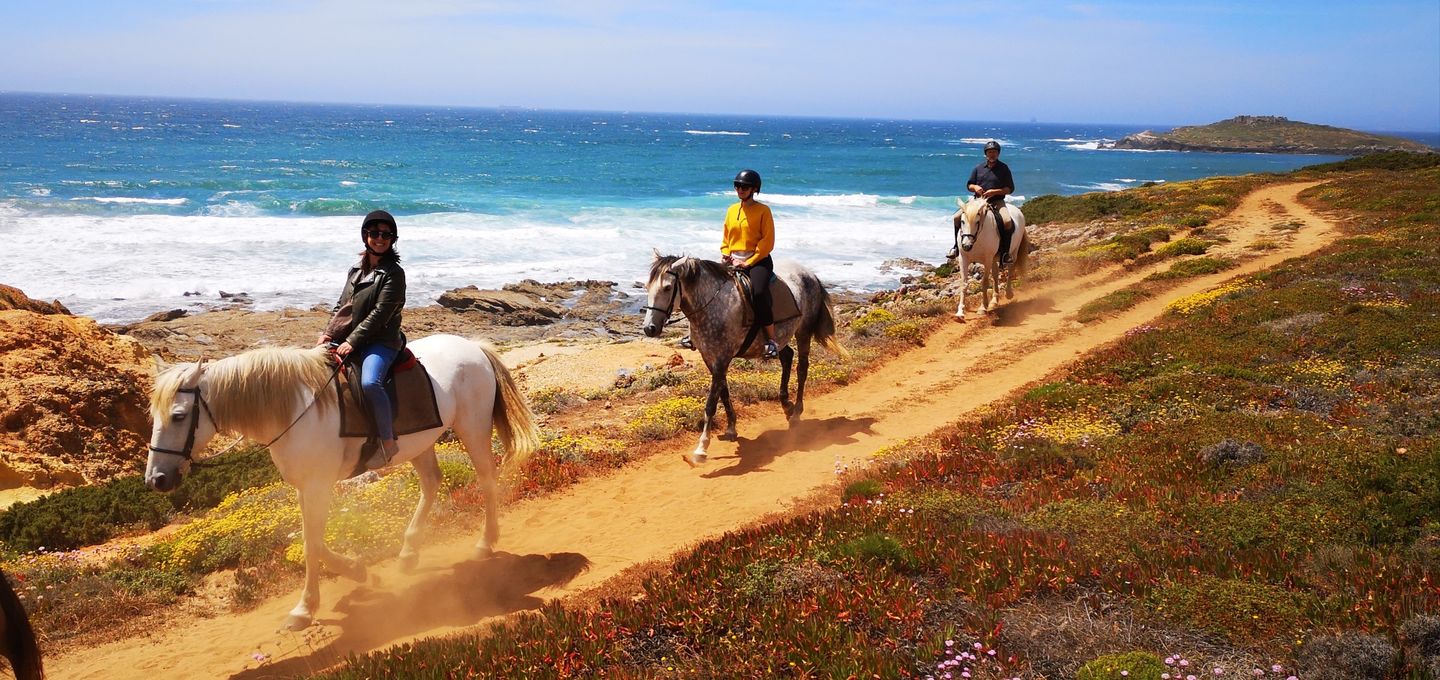 Passeios a Cavalo