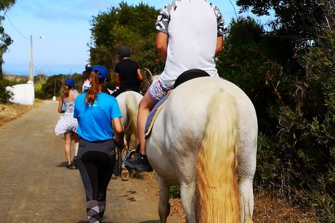 Passeios a Cavalo