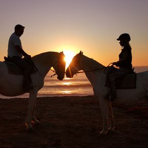 Passeios a Cavalo