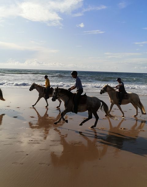 Passeios a Cavalo