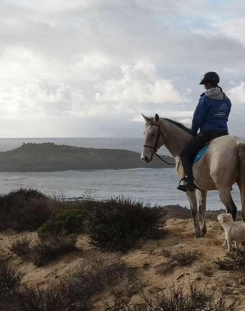 Passeios a Cavalo