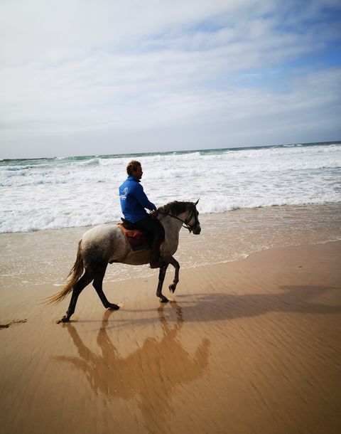 Passeios a Cavalo