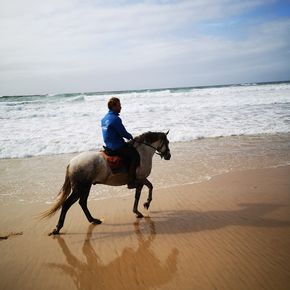 Passeios a Cavalo